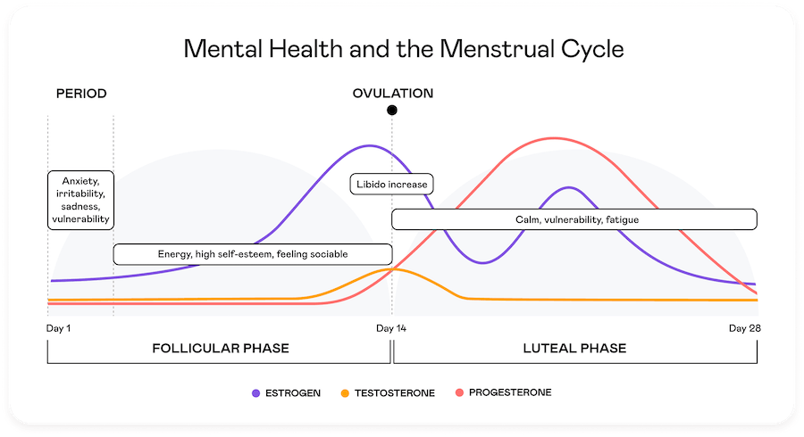 Understanding the Impact of Hormonal Fluctuation on Womens Mental Well-being